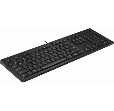 HP 125 USB WD KBD Bulk 12